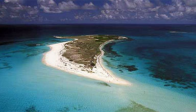 Immersioni a Los Roques