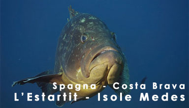 Nell’incanto delle Medes