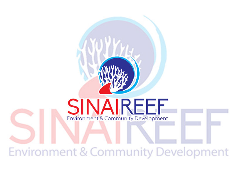 Il Sinai ha bisogno di noi: supportiamo SINAI REEF