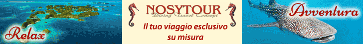 NosyTour