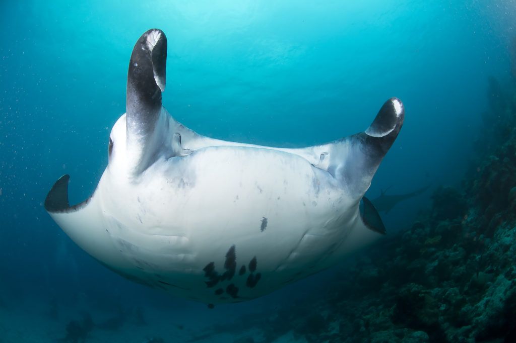 viaggi naturalistici di Massimo Boyer