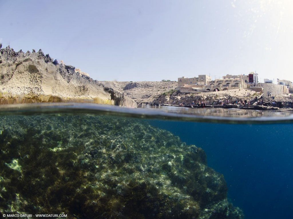 Snorkeling al top tra Malta, Gozo e Comino