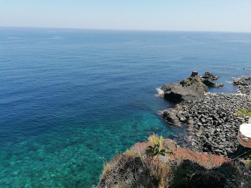 Aplysia diving school