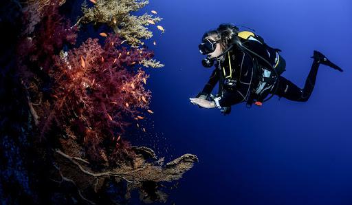 ASD Jonica Diving School