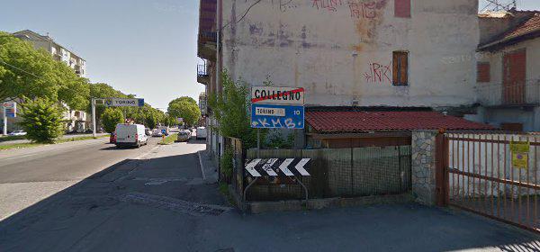 Acquatic Dolphins Sas