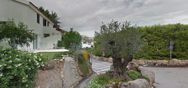 Orsodive Di Pegoraro Paola