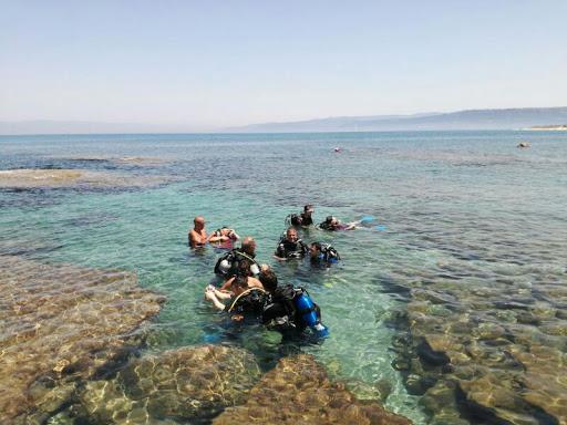 A.S.D. The Frogmen Team