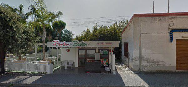 Sub Aqua Diving Club