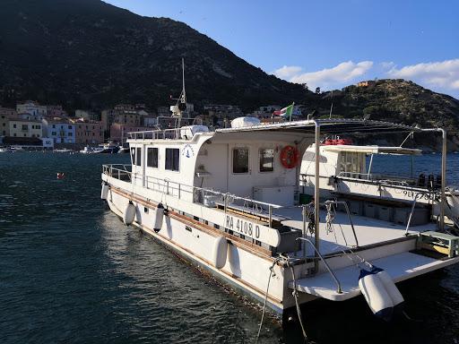 Diving Isola del Giglio