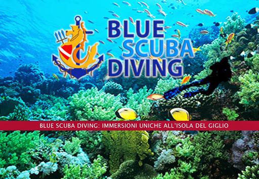 Blue Scuba Diving srl - Diving all' Isola del Giglio