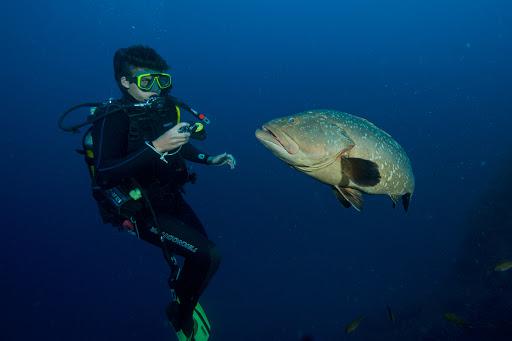 SPIRO SUB DIVING ELBA - Volki Kammerer