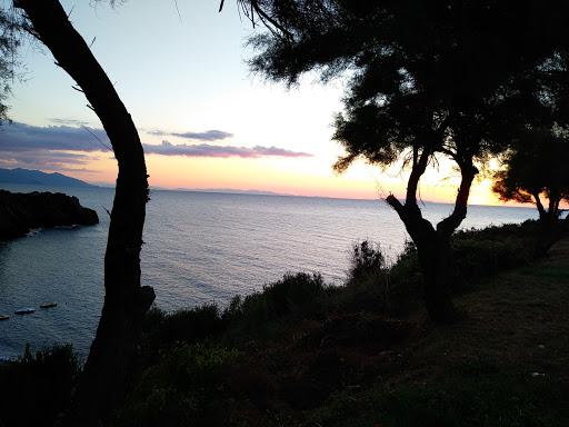 Hank's Diving Center