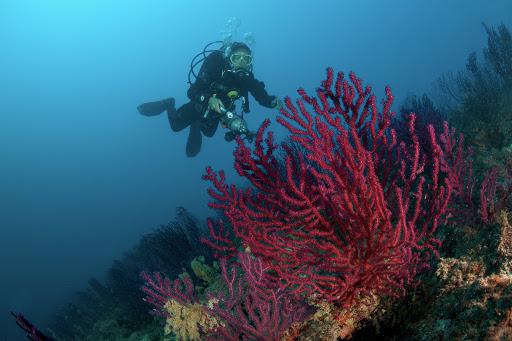Diving Center Accademia Blu A.S.D.