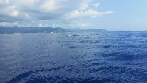 Diving Center EUROSUB Diano Marina (IM)