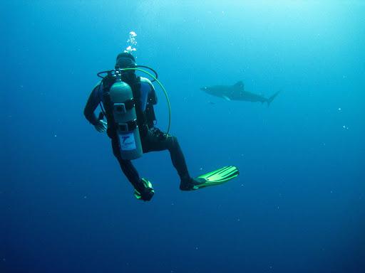 Sub Center Parma Sub Center Parma