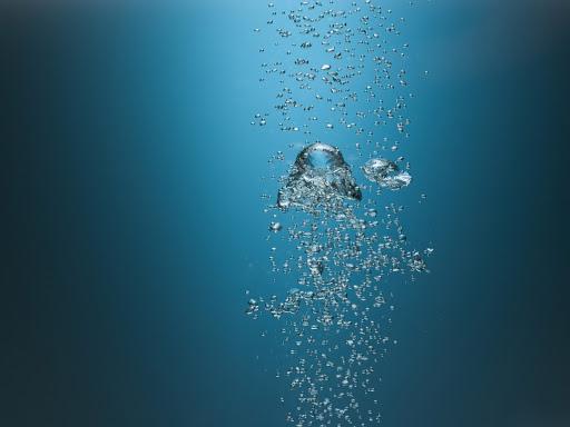 Anthias Academy Anthias Academy