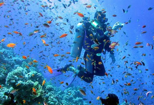 H2BO A.S.D. - Scuola di subacquea, apnea e hockeysub