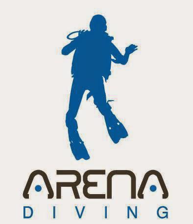 Arena Diving