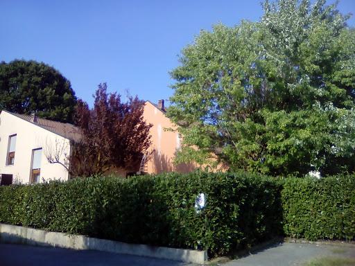 ASD SESTO CONTINENTEN SCUOLA DI SUBACQUEA ED APNE A