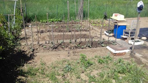 Associazione Dilettantistica Pesca Sportiva Attivita Subac- Quee E N