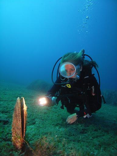 Bolzano Sub - Sporttaucher Club Bozen