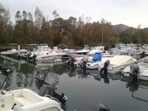 Circolo Subacquei Teseo Tesei