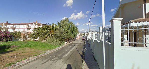 D Diving Di Deiana Lando