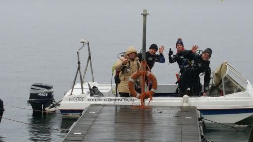 Diving Deep Green Divers