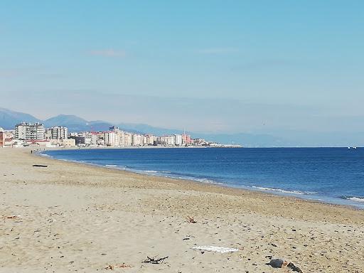 F.i.p.s.a.s. Sezione Di Savona