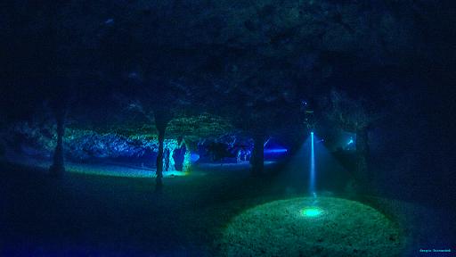 Marettimo Diving Center