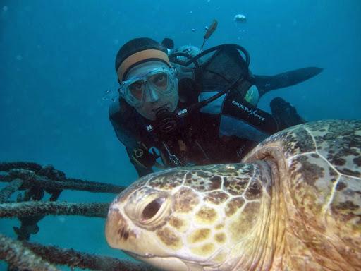 Diving World San Marino