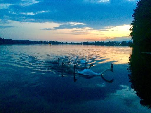 Rotrovo "Godiving" , Vecchio Porto
