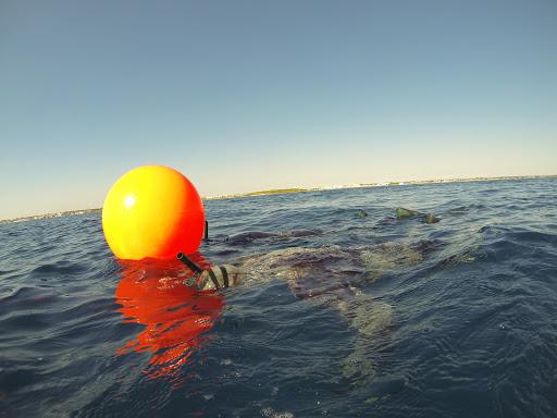 Scuola Subacquea Asd Acquamania