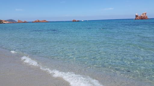 Star Dive e Matacili di Pili Pier Paolo