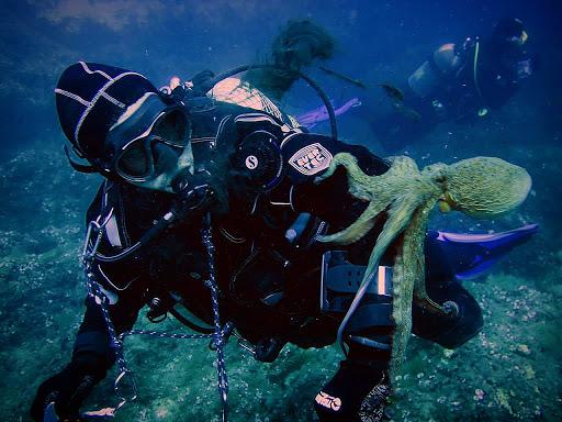 Gallipoli Scuba Diving, corsi Sub, Immersioni nel Salento