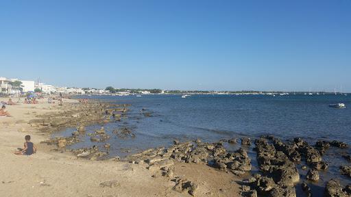 Tutto Pesca Di Greco Luigina