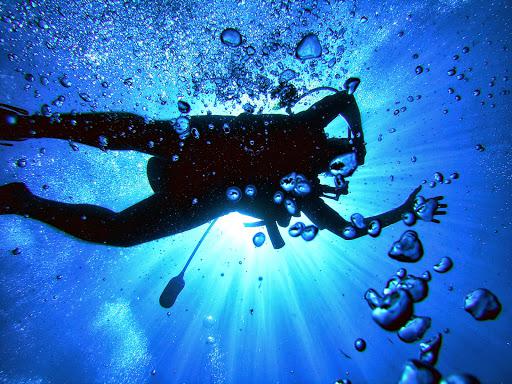Diving Service Diving School and Diving Center