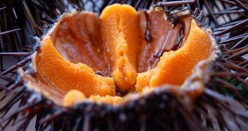 Byron Sea Escursioni Grotte Gite in Barca Leuca