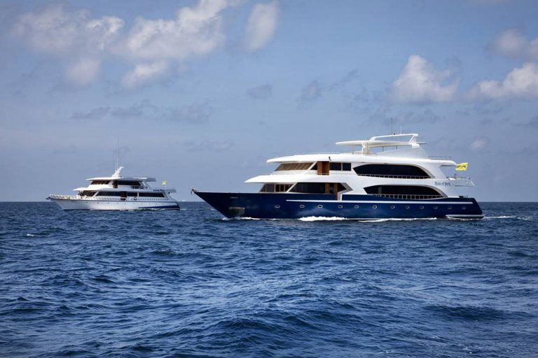 MY Conte Max and MY Duke of York 768x512