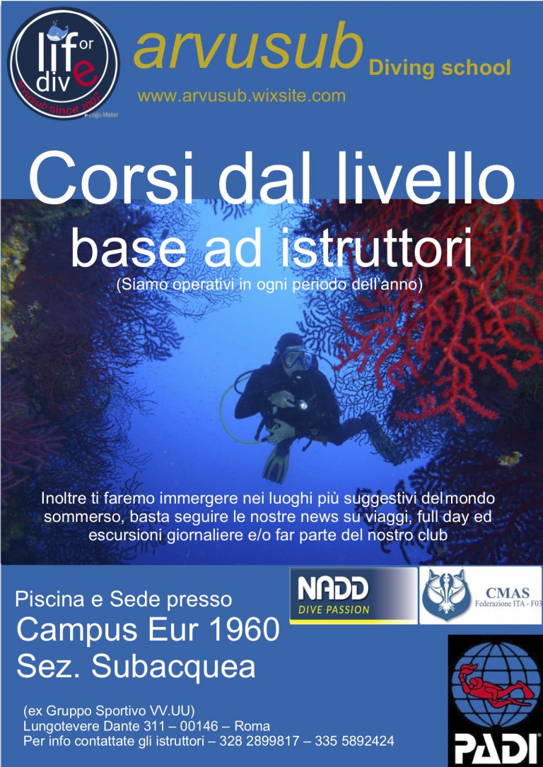 locandina 2019 convertito 768x1086