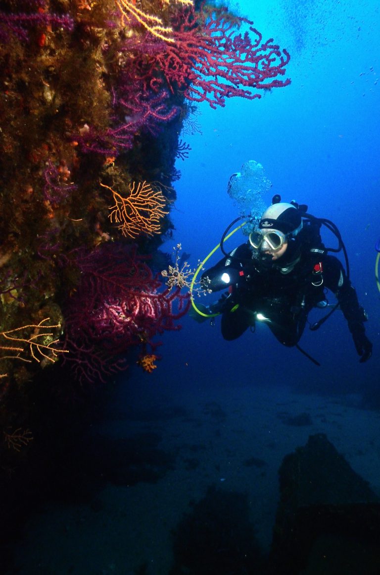 NIK 7733 copia 768x1160