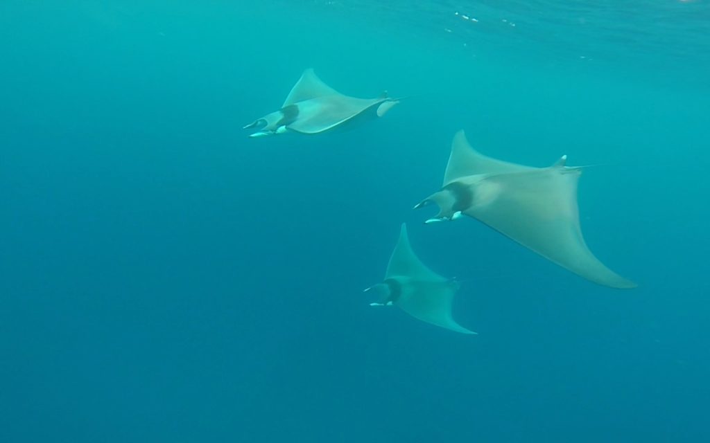 Mediterraneo…e un buongiorno alla Maldiviana