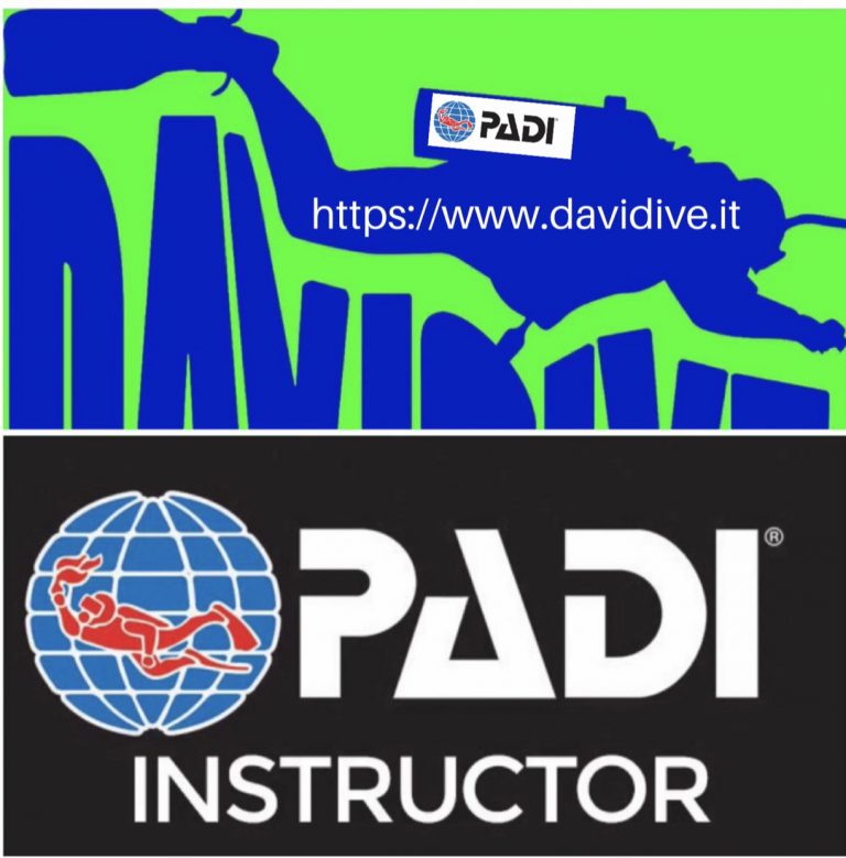 286CB7B1 37A8 4429 A0B0 FFA19A6BF3B8 768x779