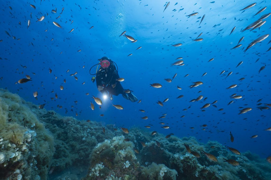 psicologia e attività subacquea