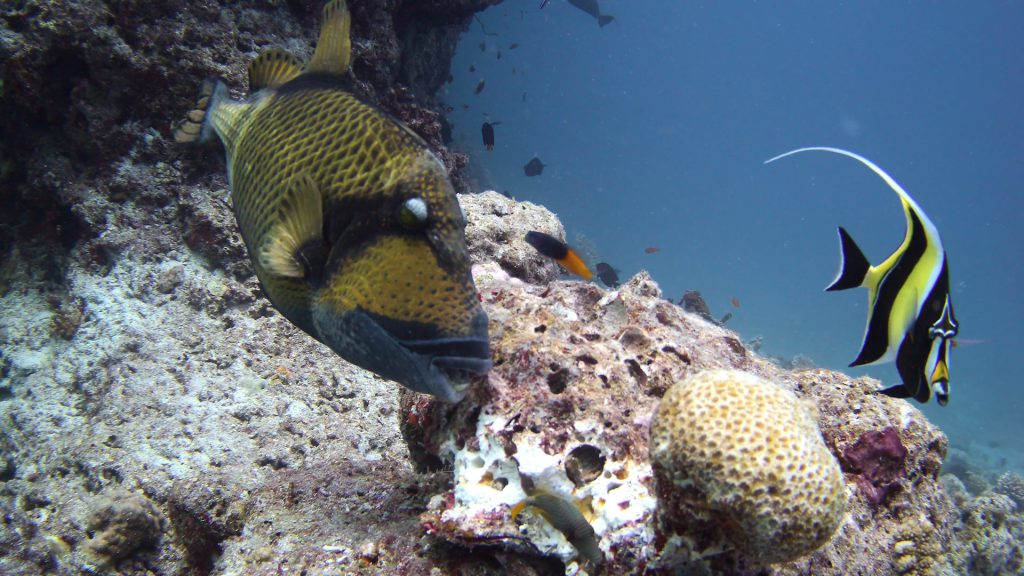 suggerimenti e trucchi