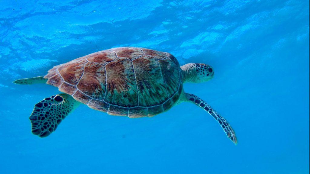 fotografare mediterraneo