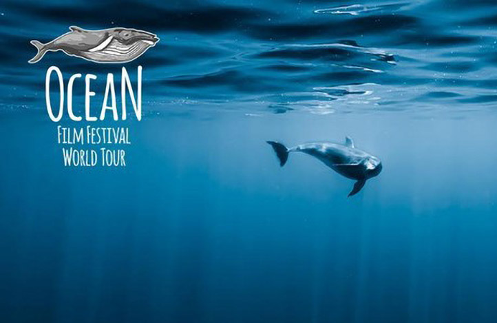 ocean film festival