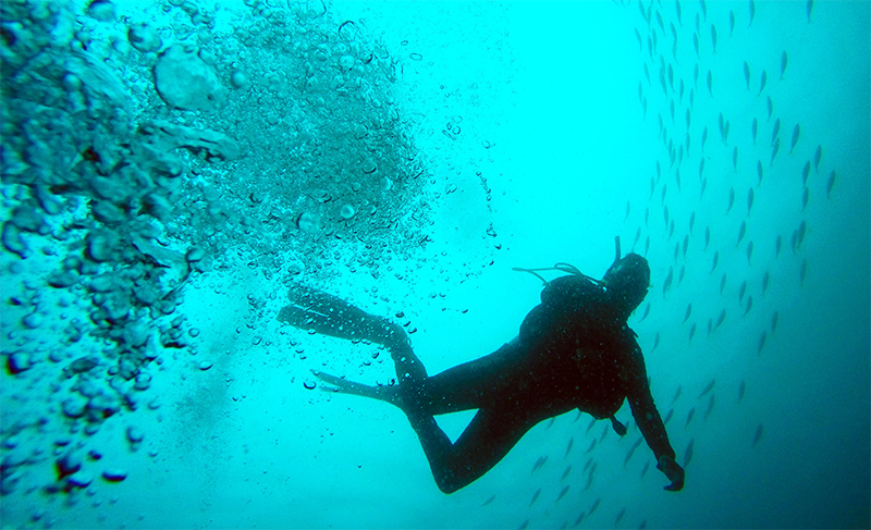 l'attrezzatura subacquea