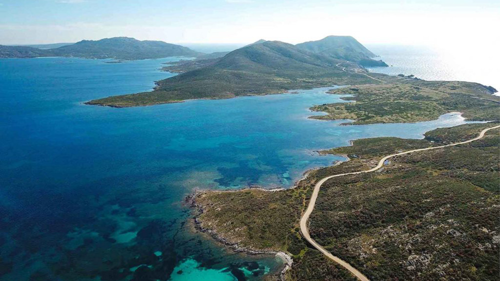 ritrovamento sub vivo all'Asinara