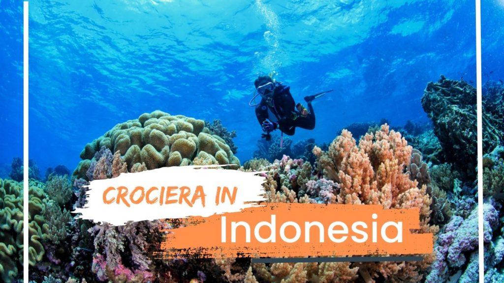 Crociera con nosytour immersioni indonesia